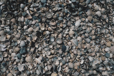 Similar image 21417240