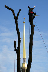 Similar image 21383399