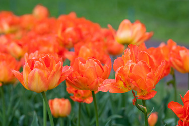 Similar image 21384686