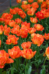 Similar image 21384690