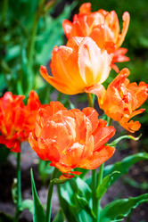 Similar image 21384692