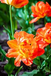 Similar image 21384693