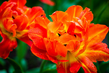 Similar image 21384954