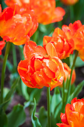 Similar image 21384955