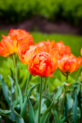 Similar image 21384957