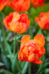 Similar image 21384959