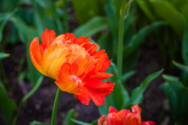 Similar image 21384960