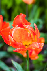 Similar image 21384962