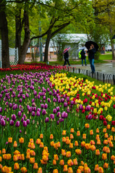 Similar image 21384963