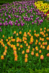 Similar image 21384964