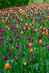 Similar image 21384967