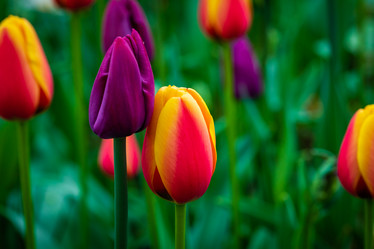 Similar image 21384968