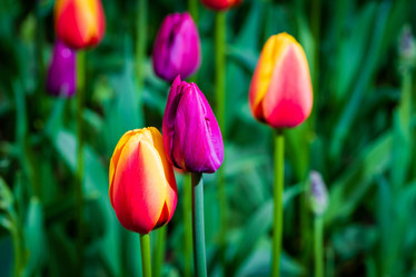 Similar image 21384969