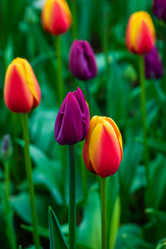 Similar image 21384970