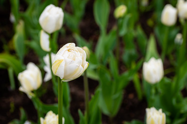 Similar image 21384971