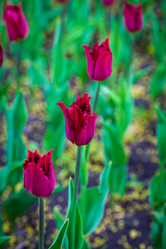 Similar image 21384975