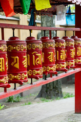 Similar image 21384979