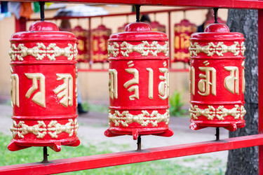 Similar image 21384980