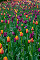 Similar image 21384984