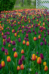 Similar image 21384694