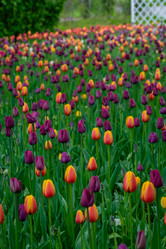 Similar image 21384695