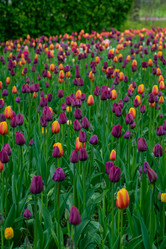 Similar image 21384697