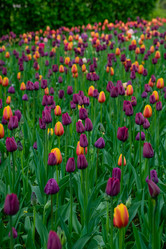 Similar image 21384698