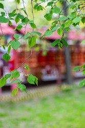 Similar image 21384702