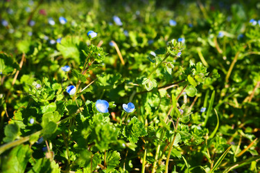 Similar image 21416858