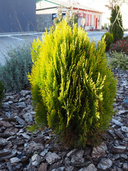 Similar image 21404322