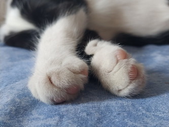 Similar image 21404323