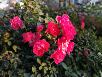 Similar image 21405743