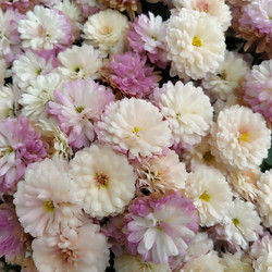 Similar image 21405745