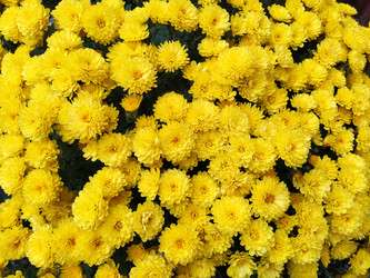 Similar image 21405746