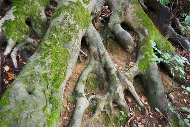 Similar image 21405826