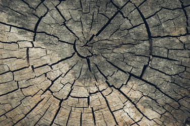 Similar image 21385044