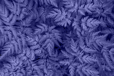 Similar image 21385055