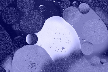 Similar image 21385057