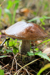 Similar image 21385145