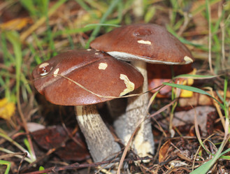 Similar image 21385151