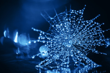 Similar image 21385152