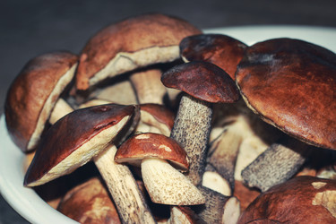 Similar image 21385153