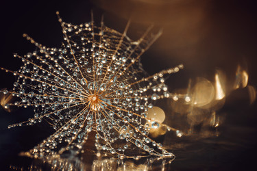 Similar image 21385154