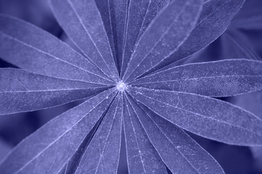 Similar image 21385164