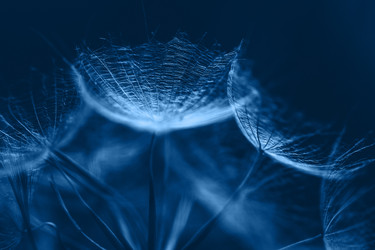 Similar image 21385820