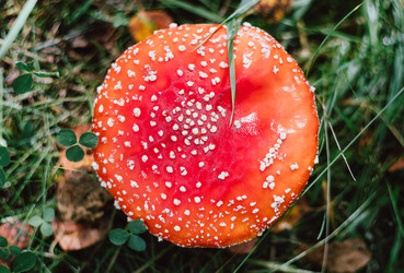 Similar image 21385821