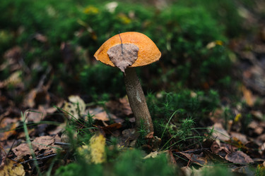 Similar image 21385831