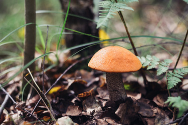 Similar image 21385837