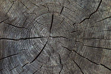 Similar image 21385847