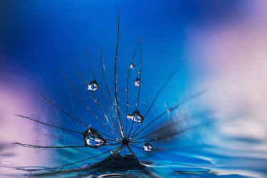 Similar image 21385853